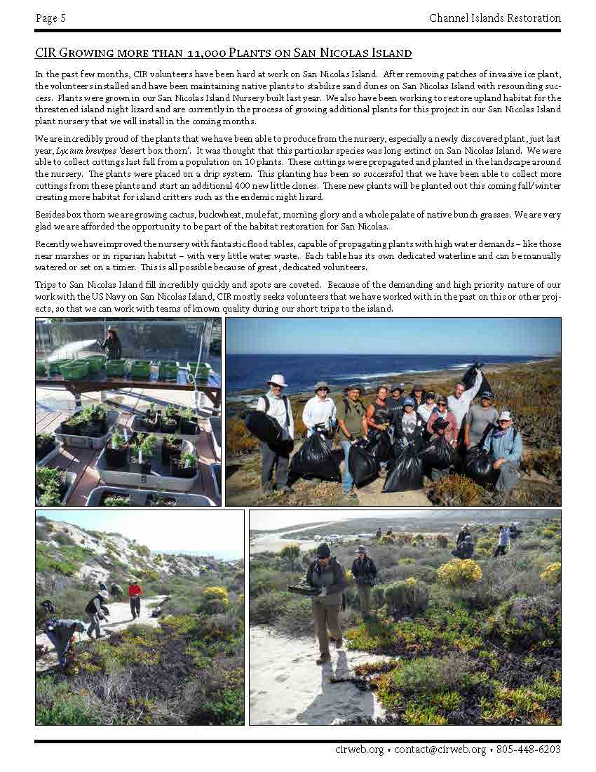 Page 5